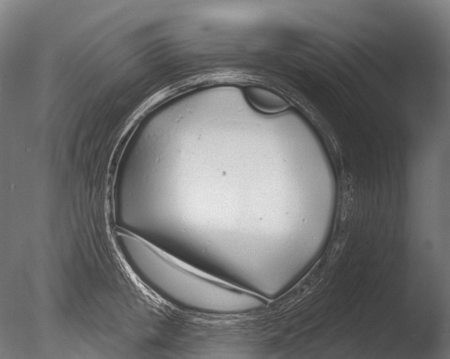 X0000085000853200704021332