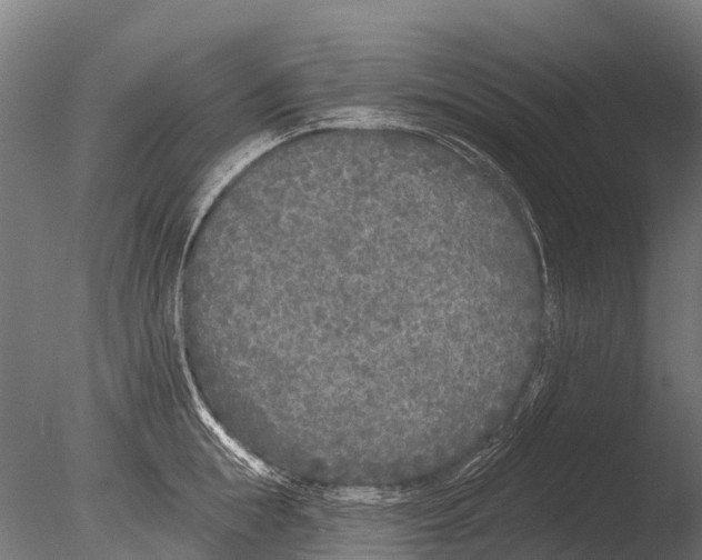 X0000085000855200704021332