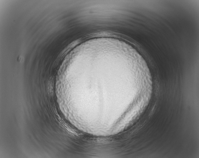 X0000085000857200704021332