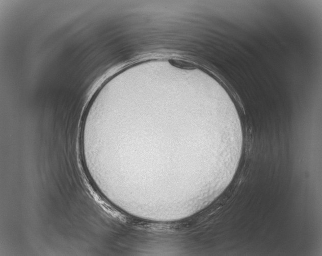 X0000085000861200704021332