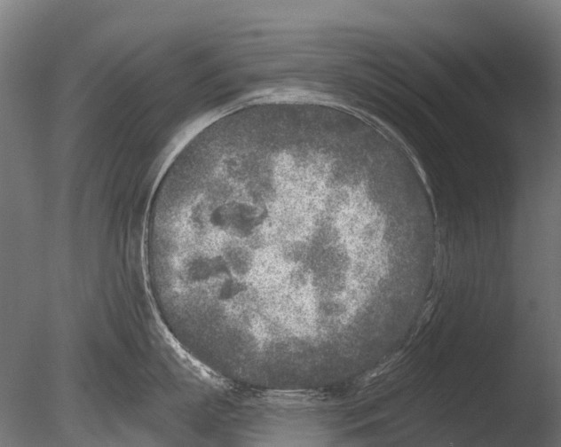 X0000085000863200704021332