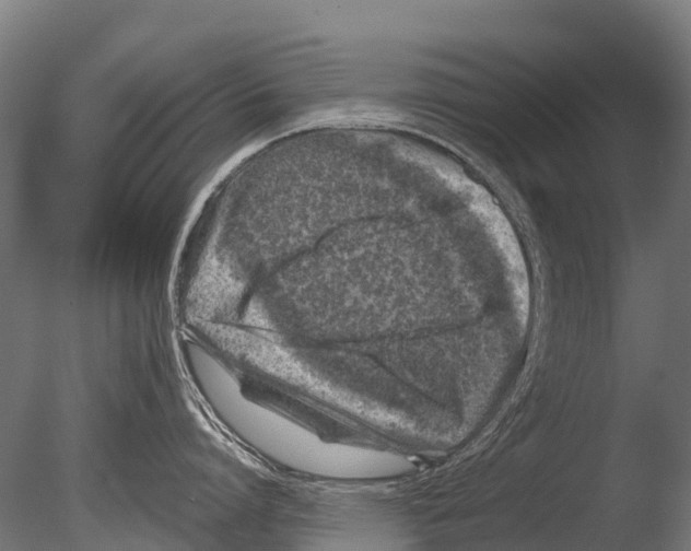 X0000085000864200704021332