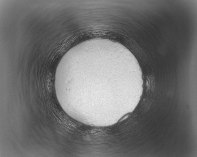 X0000085000867200704021331