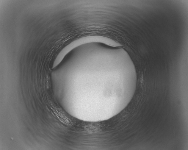 X0000085000868200704021331