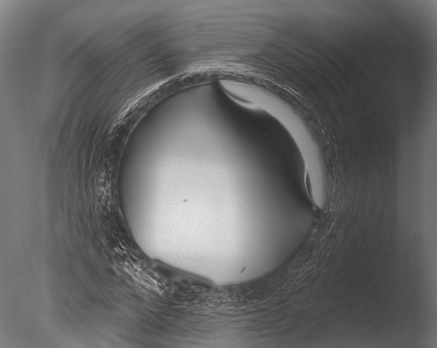 X0000085000872200704021331