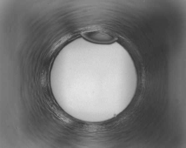 X0000085000873200704021331