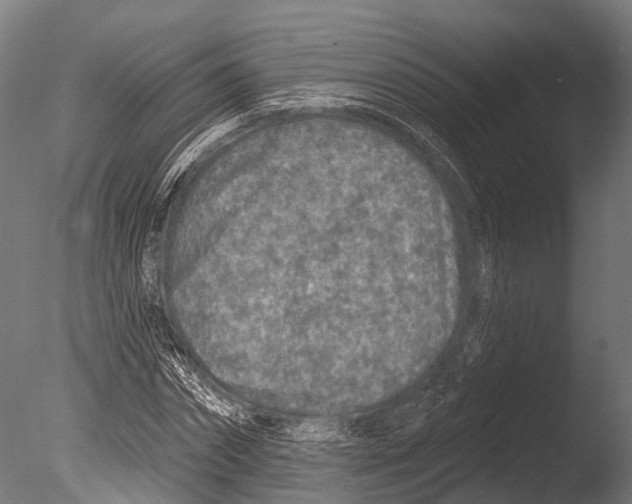 X0000085000874200704021331