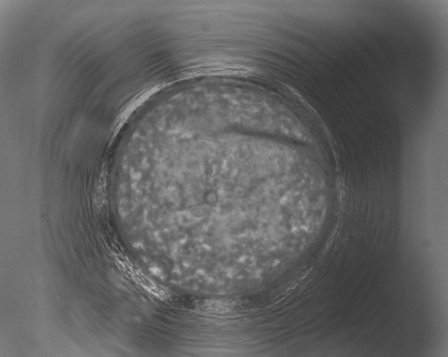 X0000085000875200704021331