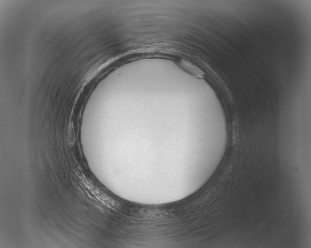 X0000085000876200704021331