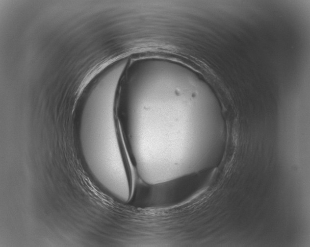 X0000085000877200704021331