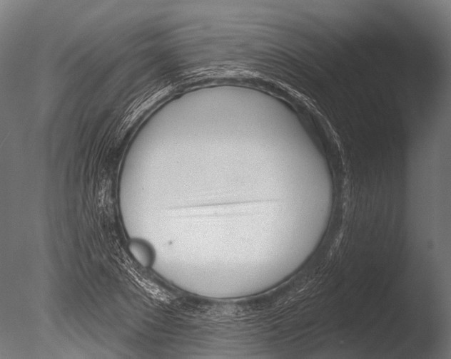 X0000085000881200704021331