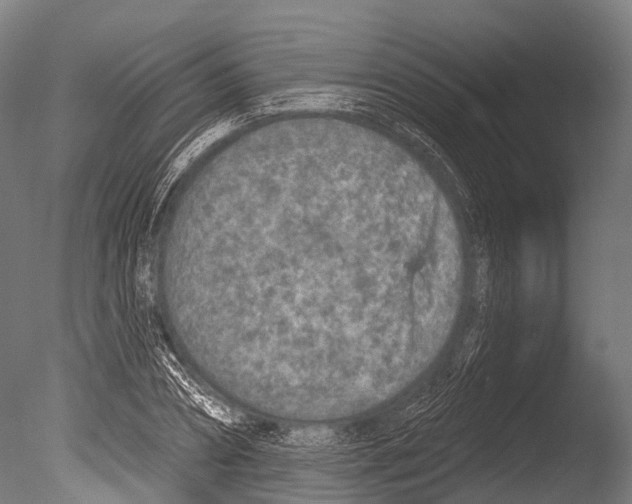 X0000085000882200704021331