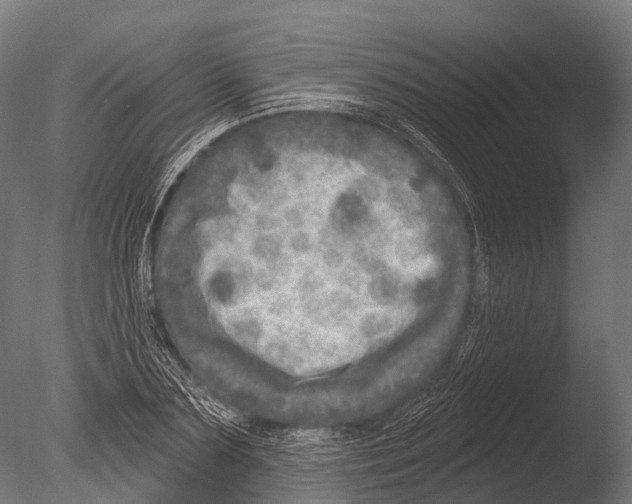 X0000085000883200704021331