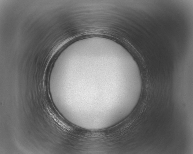 X0000085000884200704021331