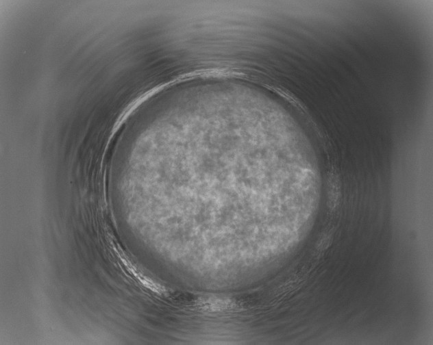 X0000085000886200704021331