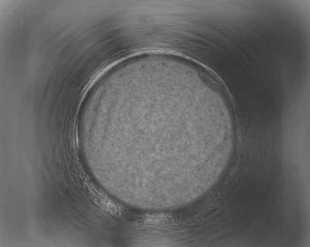 X0000085000887200704021331