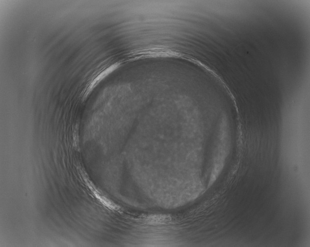 X0000085000889200704021331