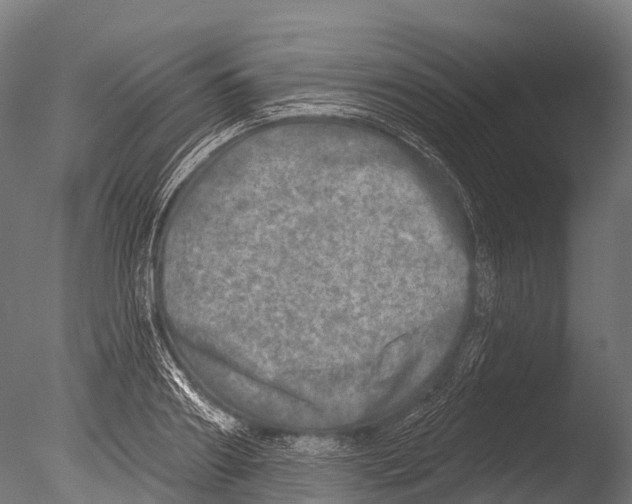 X0000085000890200704021331