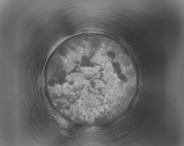 X0000085000891200704021331