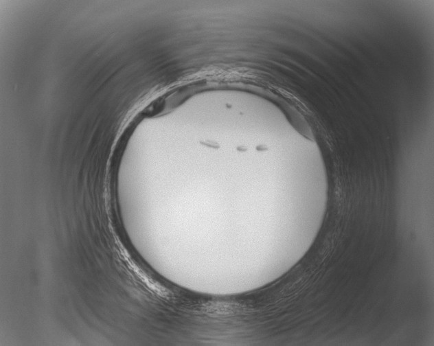 X0000085000894200704021330