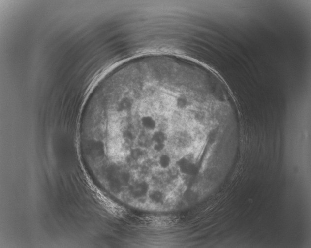 X0000085000895200704021330