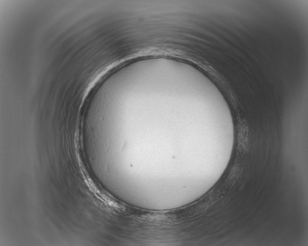 X0000085000896200704021330