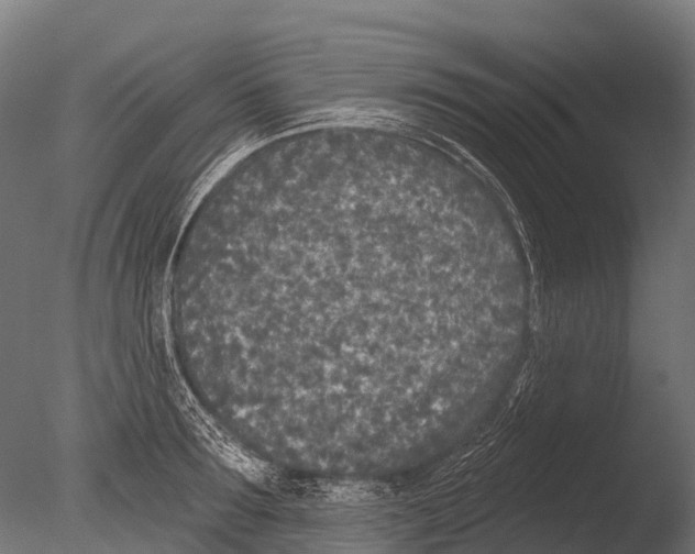 X0000085000899200704021330