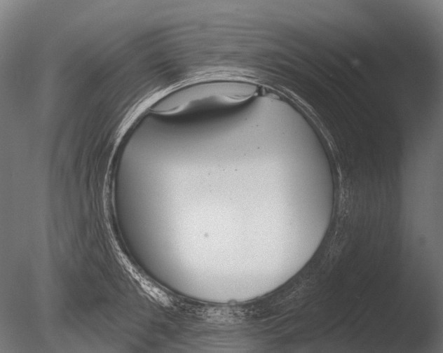 X0000085000901200704021330