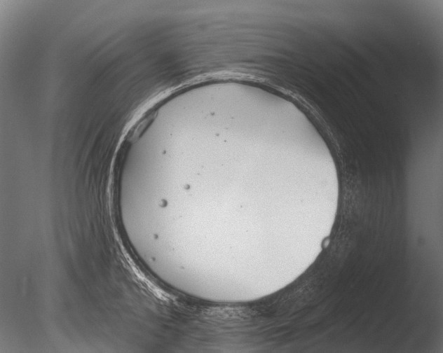 X0000085000902200704021330