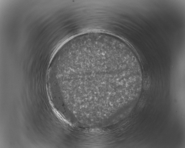 X0000085000903200704021330