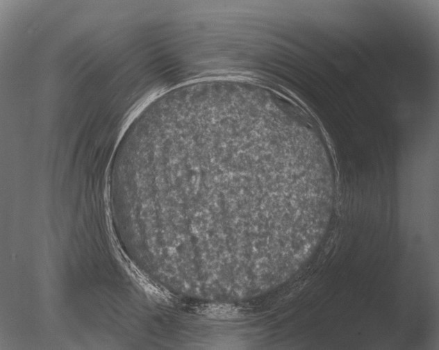 X0000085000907200704021330