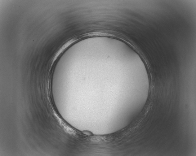 X0000085000909200704021330