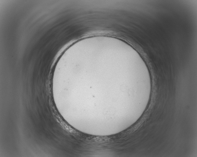 X0000085000912200704021330