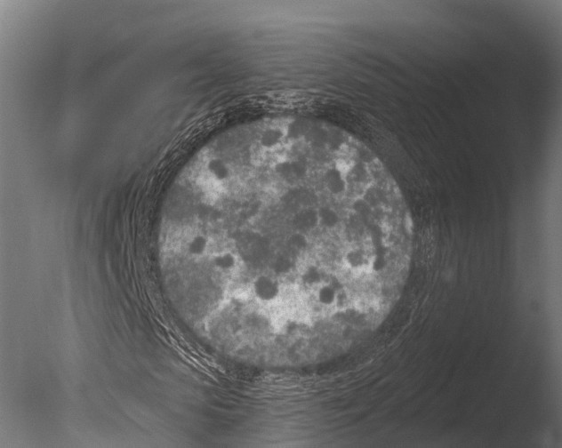 X0000085000913200704021329