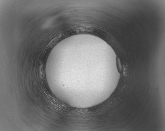 X0000085000915200704021329