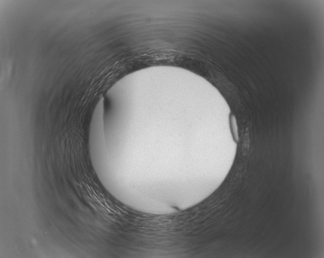 X0000085000916200704021329