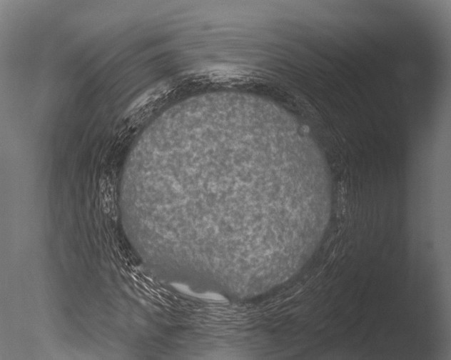 X0000085000917200704021329