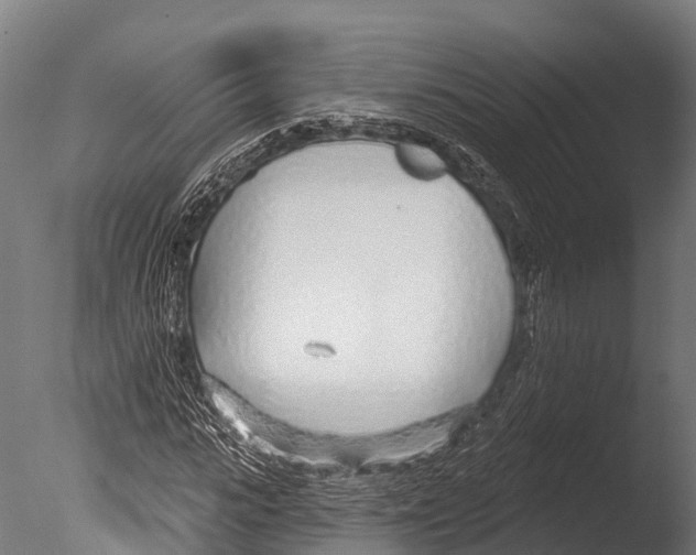 X0000085000919200704021329