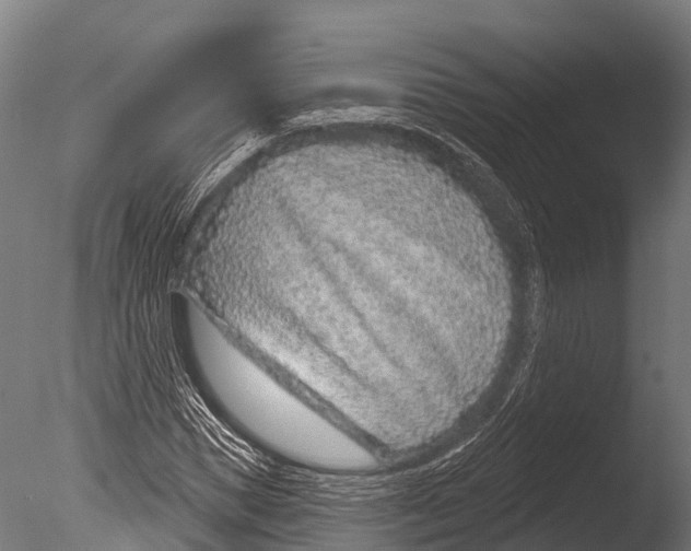 X0000085000921200704021329