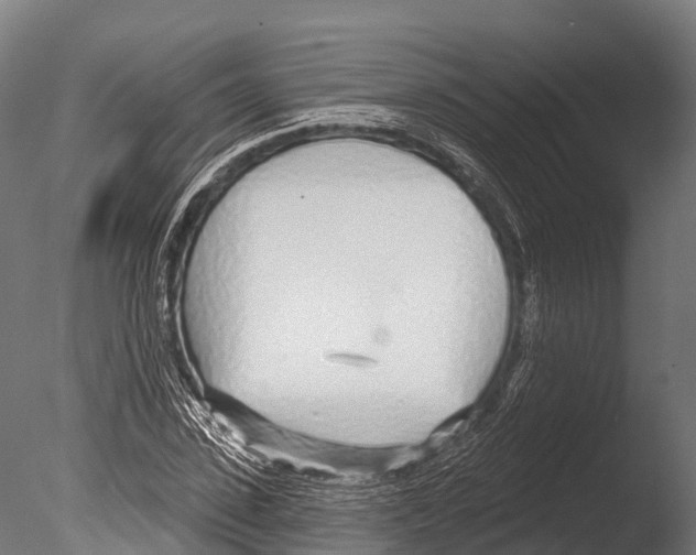 X0000085000923200704021330