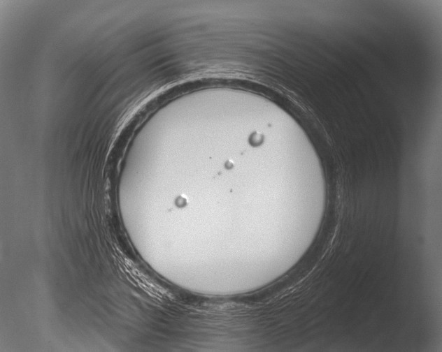 X0000085000926200704021330