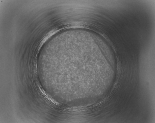 X0000085000933200704021330