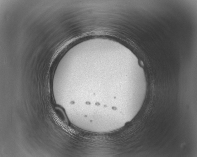 X0000085000934200704021330