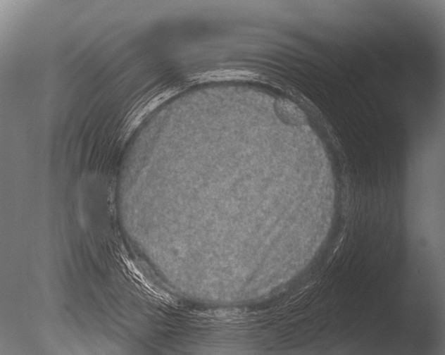 X0000085000937200704021330