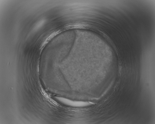 X0000085000938200704021330