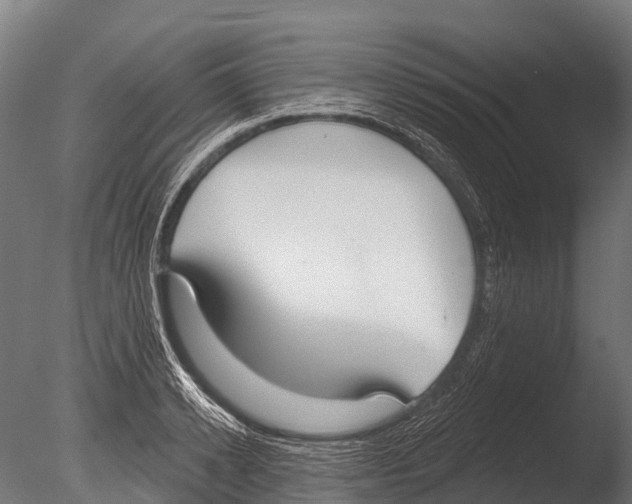 X0000085000942200704021330