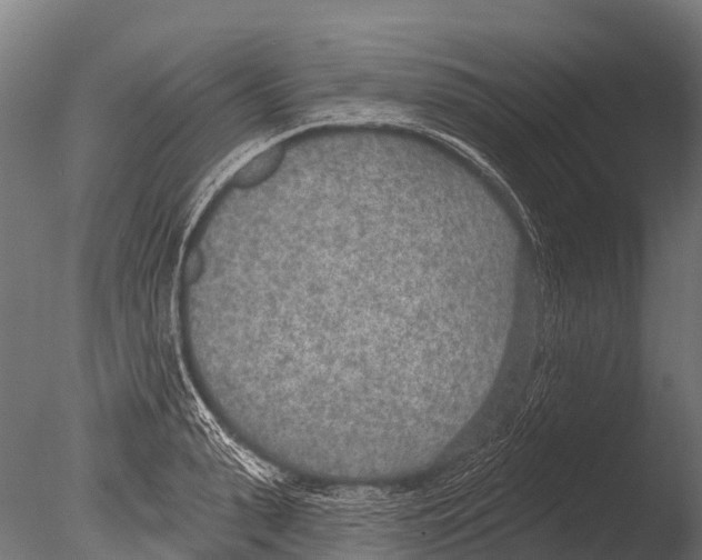 X0000085000943200704021330