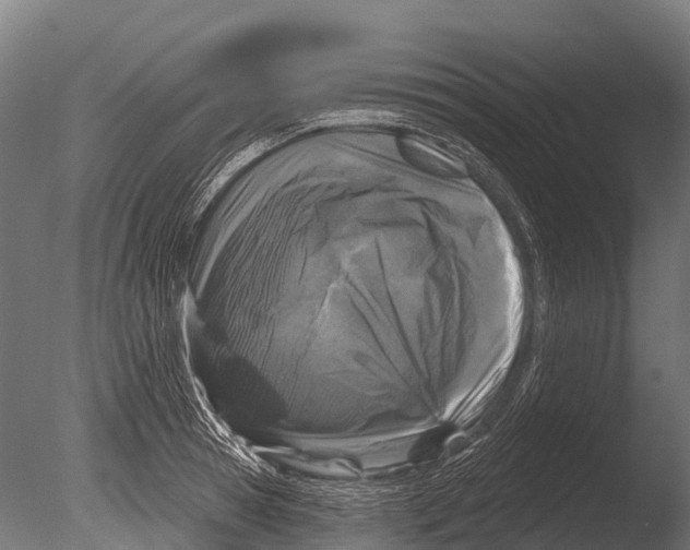 X0000085000945200704021330