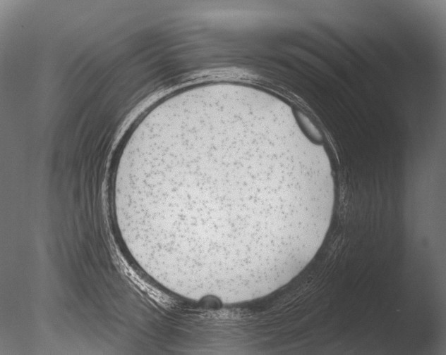 X0000085000947200704021330