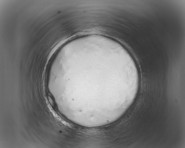 X0000085000949200704021330